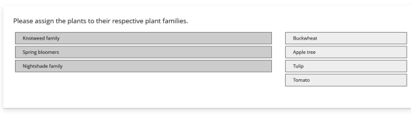 Matching question eng.png